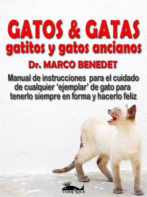 Gatos, Gatas, Gatitos Y Gatos Ancianos - ebook